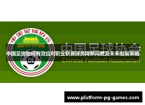 中国足协如何有效应对职业联赛球员降薪问题及未来发展策略