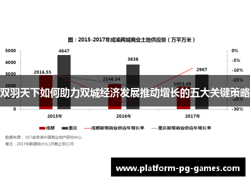 双羽天下如何助力双城经济发展推动增长的五大关键策略