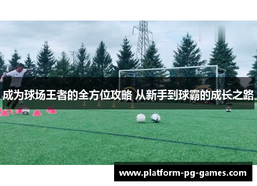 成为球场王者的全方位攻略 从新手到球霸的成长之路