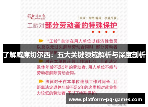 了解威廉切尔西：五大关键领域解析与深度剖析