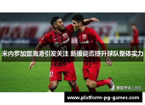 米内罗加盟海港引发关注 新援能否提升球队整体实力