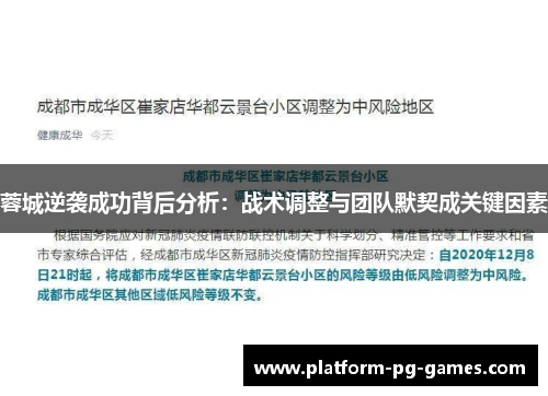 蓉城逆袭成功背后分析：战术调整与团队默契成关键因素