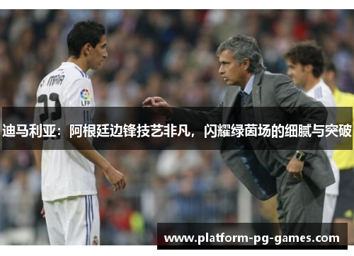 迪马利亚:阿根廷边锋技艺非凡,闪耀绿茵场的细腻与突破 迪马利亚:阿根廷边锋技艺非凡,闪耀绿茵场的细腻与突破